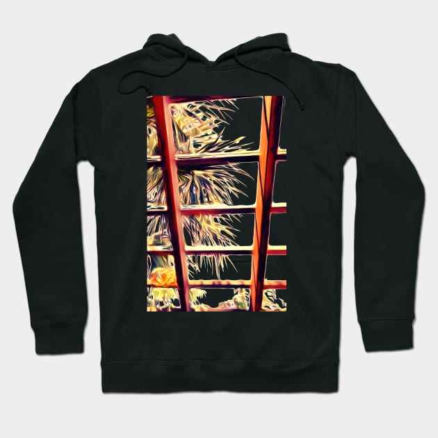 View From the Pergola Hoodie by RoxanneG